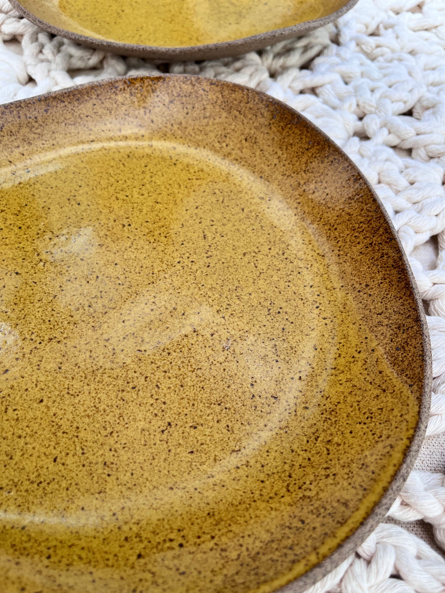 duo of shallow plates with mustard