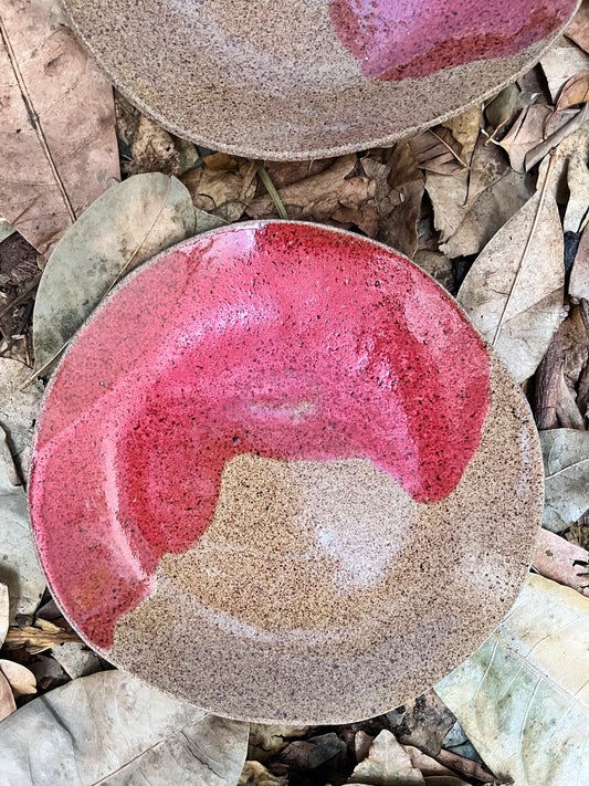 duo of shallow plates with cherry syrup