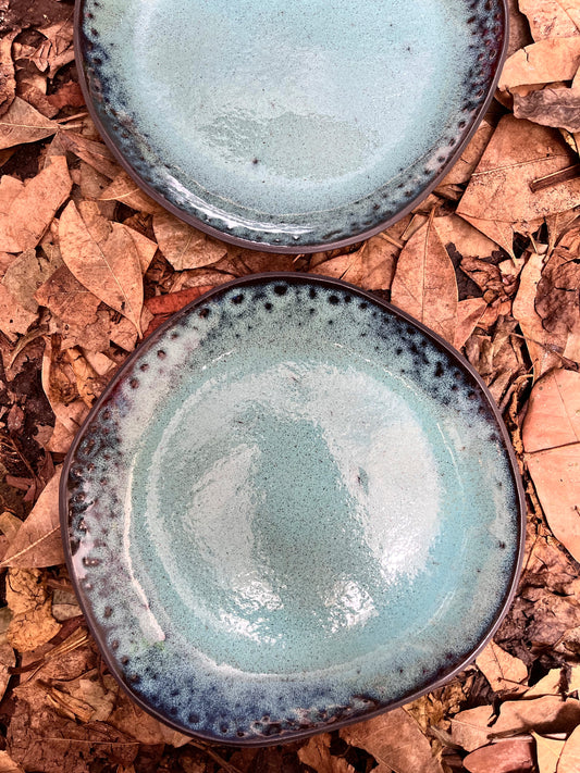 duo de pratos rasos oceano