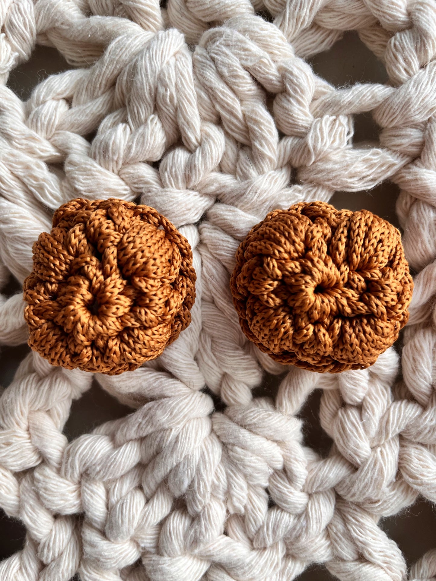 silver earring tropical country mustard
