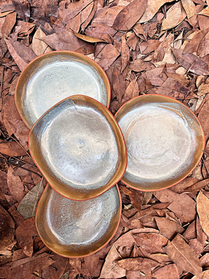 sap shallow plate set