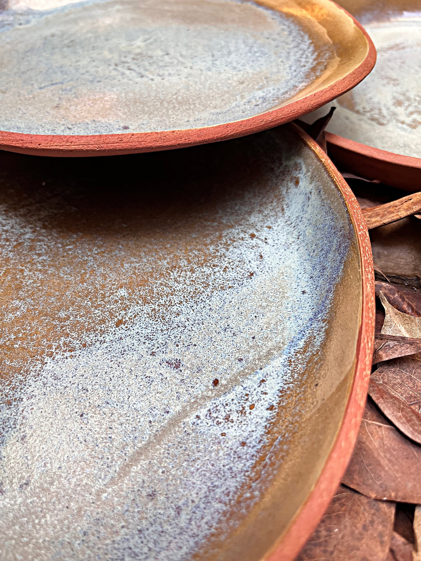 sap shallow plate set