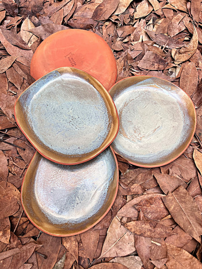 sap shallow plate set