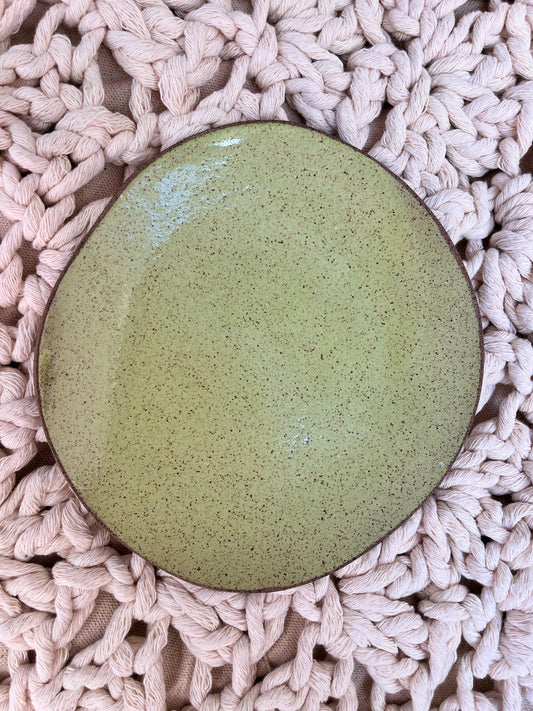 shallow plate of avocado with chia seeds