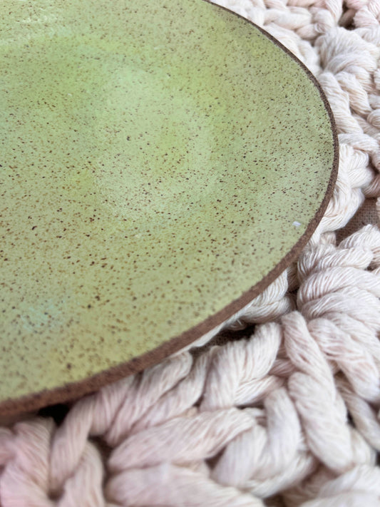 shallow plate of avocado with chia seeds