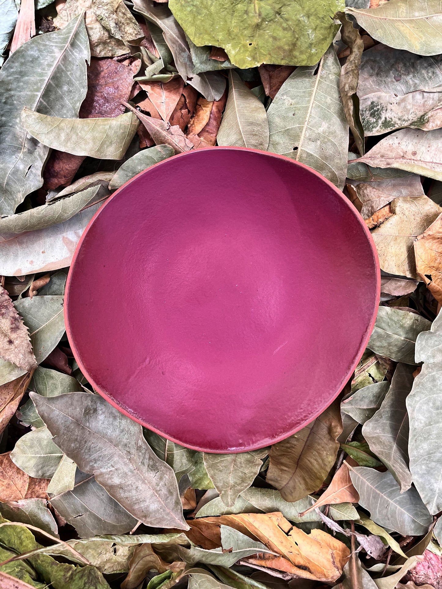 deep plate blackberry