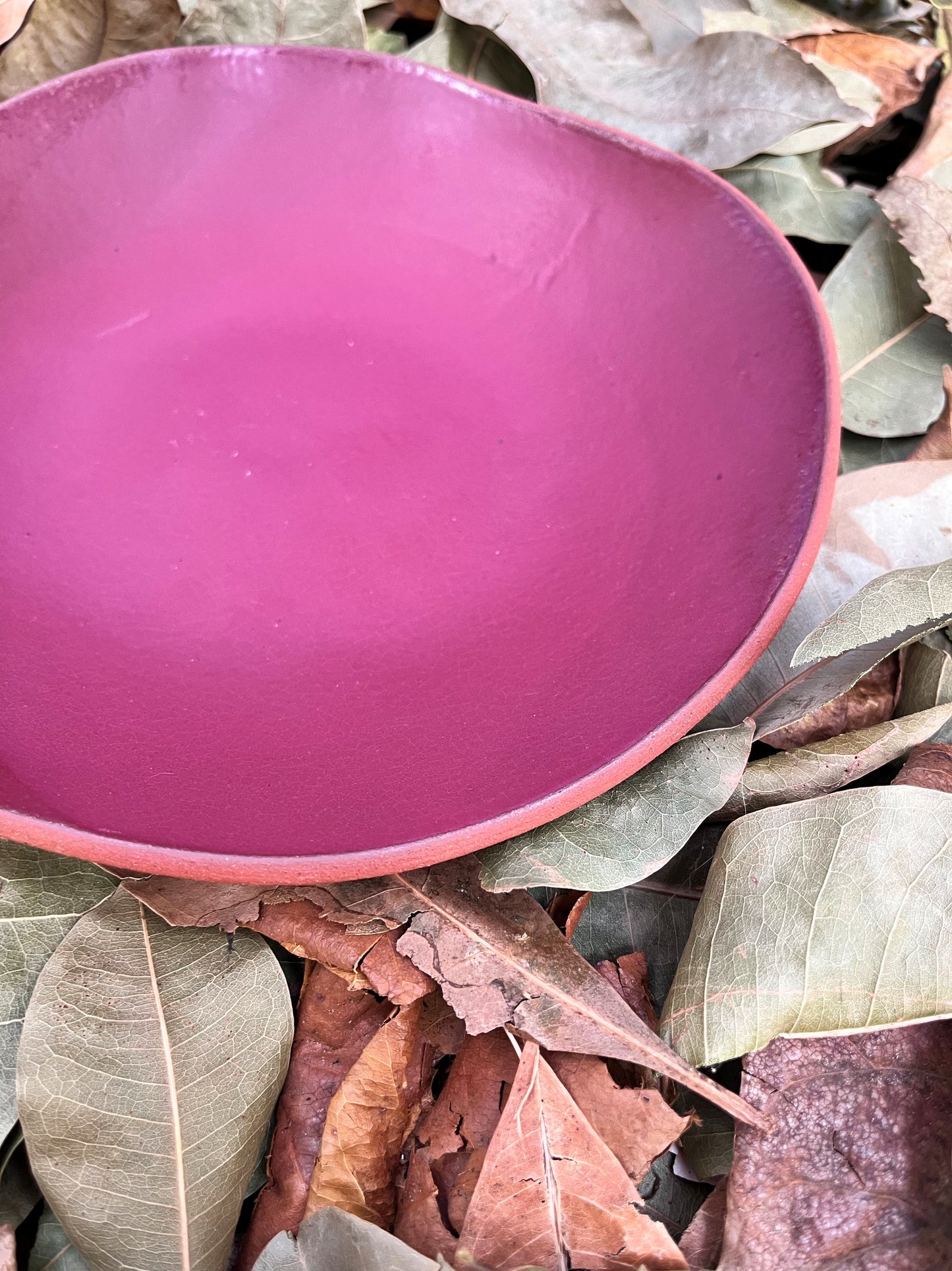 deep plate blackberry