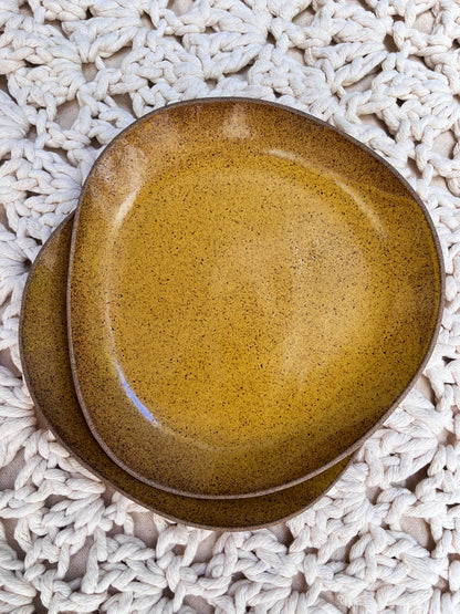 duo of shallow plates with mustard