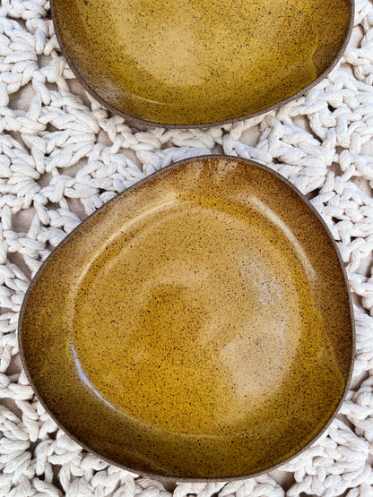 duo of shallow plates with mustard