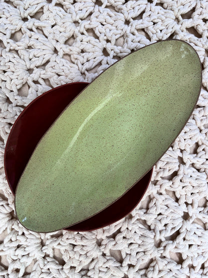 prato de servir avocado com chia