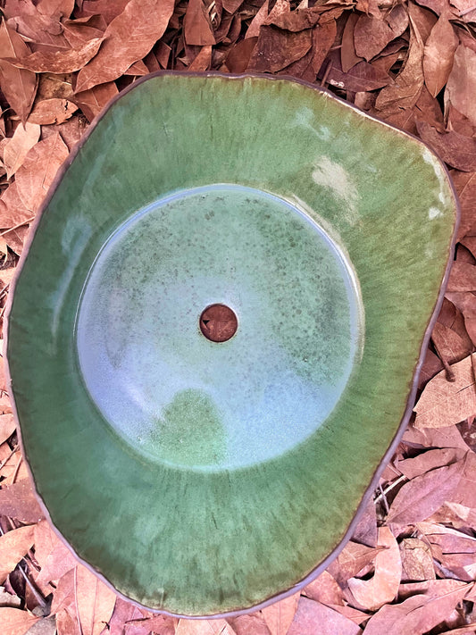 Cuba olive