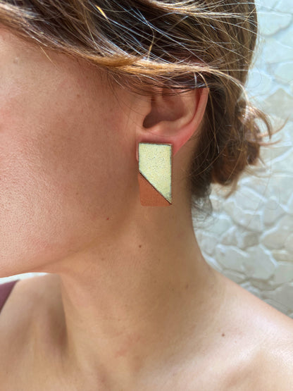 convex silver earring