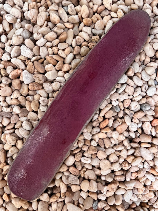 petisqueira açaí