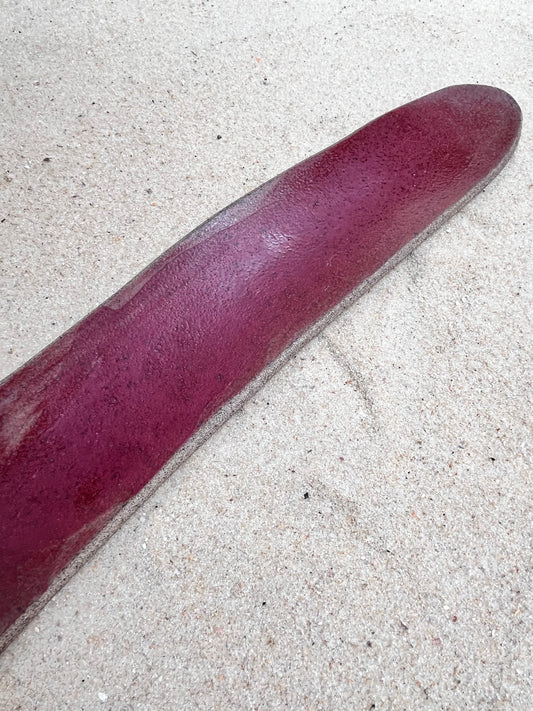 petisqueira açaí